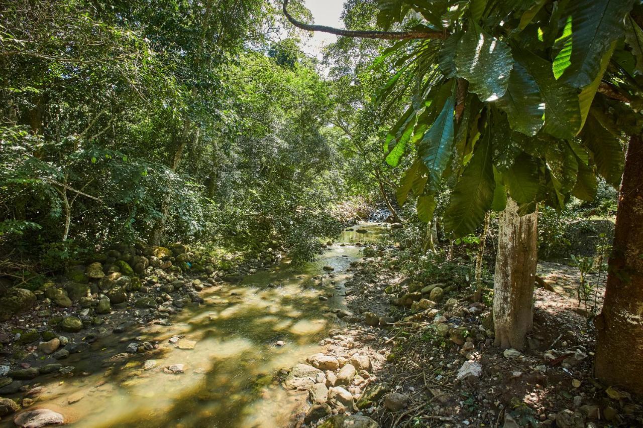 Villa Lu Amazon Ecolodge Tarapoto Zewnętrze zdjęcie