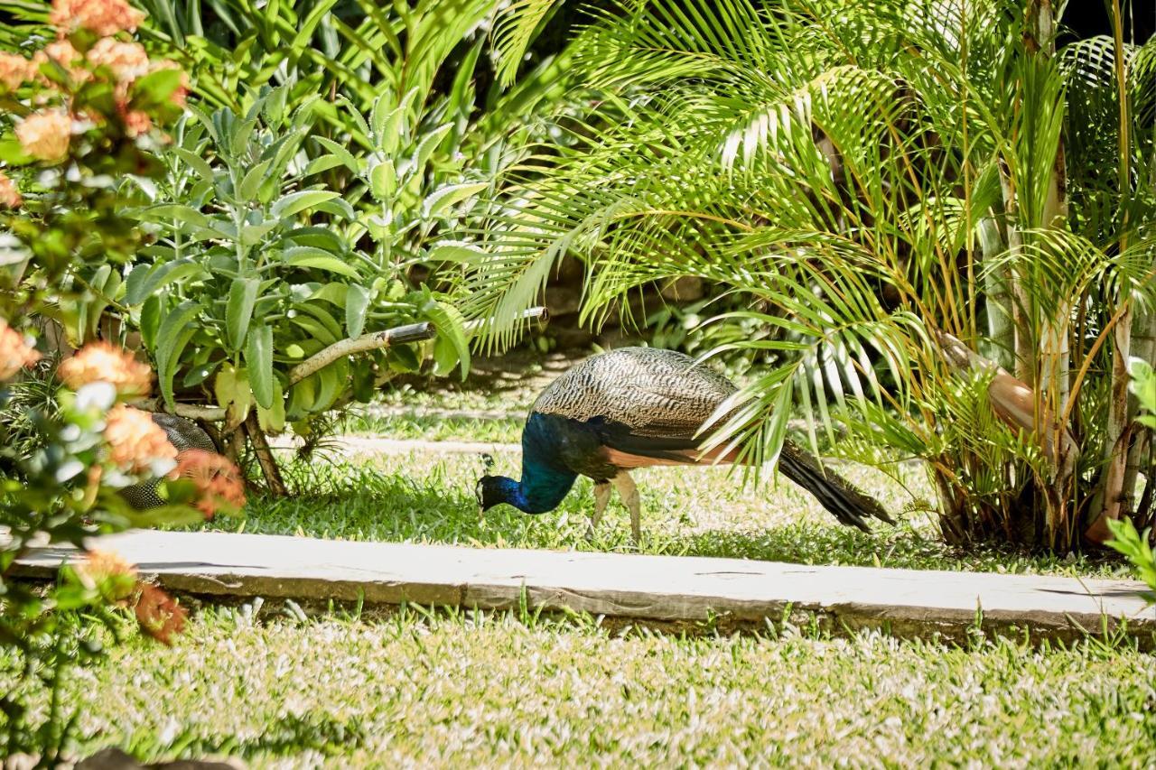 Villa Lu Amazon Ecolodge Tarapoto Zewnętrze zdjęcie