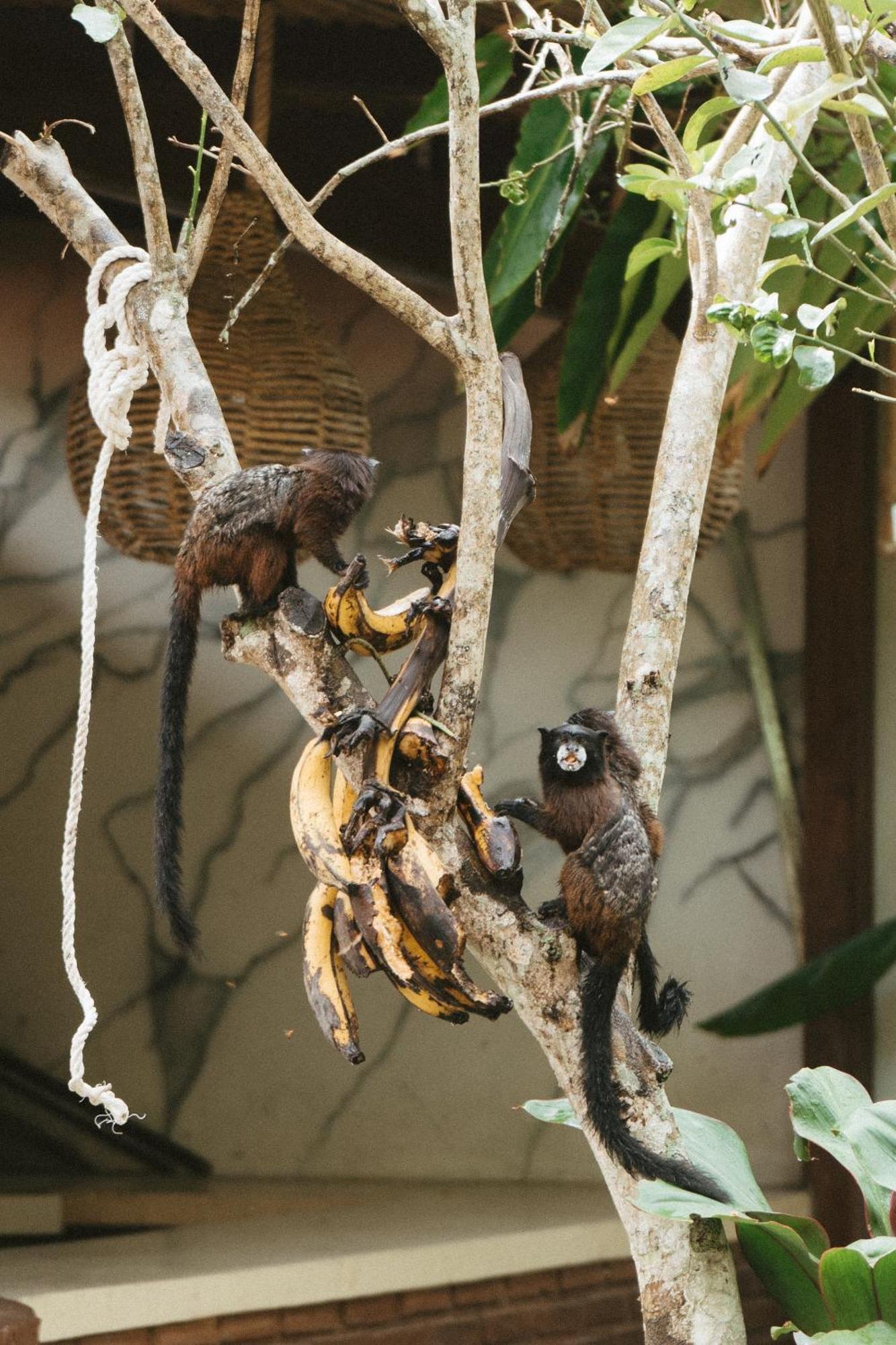 Villa Lu Amazon Ecolodge Tarapoto Zewnętrze zdjęcie